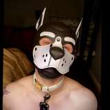 puppanic from onlyfans